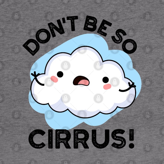 Don't Be So Cirrus Cute Weather Cloud Pun by punnybone